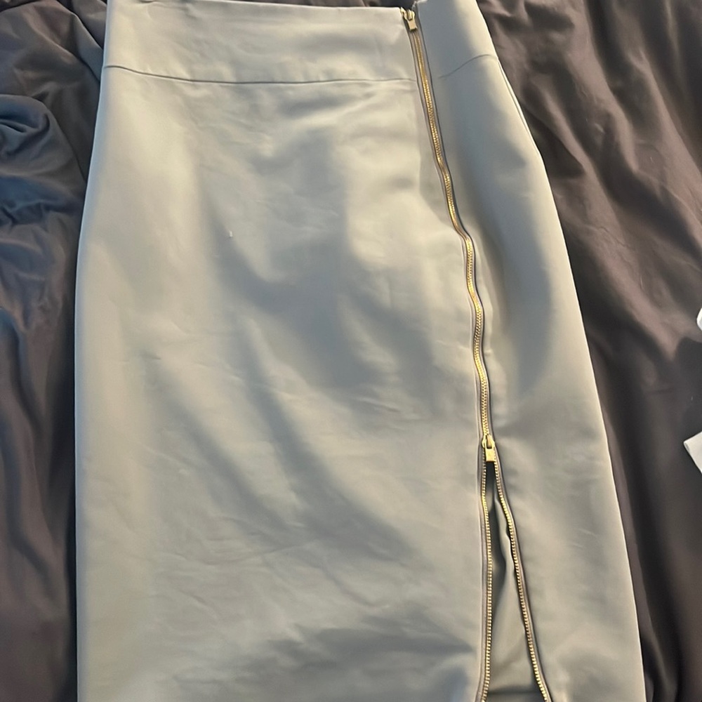 Express Pencil Skirt